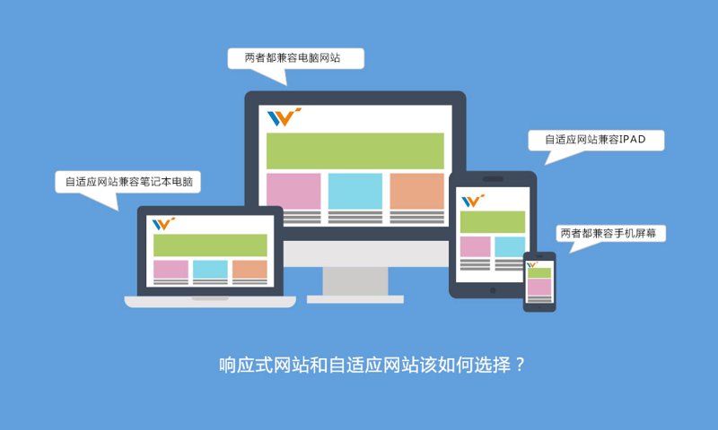 在选择软件开发公司时，如何做出明智的决定？